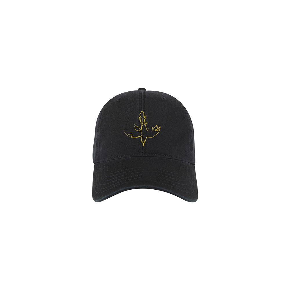 Official Further Seems Forever Merchandise. 100% Cotton Unstructured Low-Fitting dad hat featuring the fire bird design. 